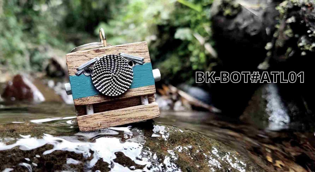 image-bkbots-dans-la-foret