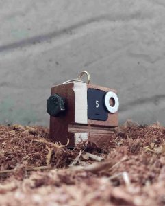 image-bkbots-dans-la-sciure-de-bois